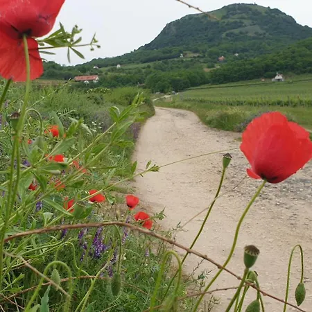 Keszi Szeli Vendeghaz 아파트 Gyulakeszi